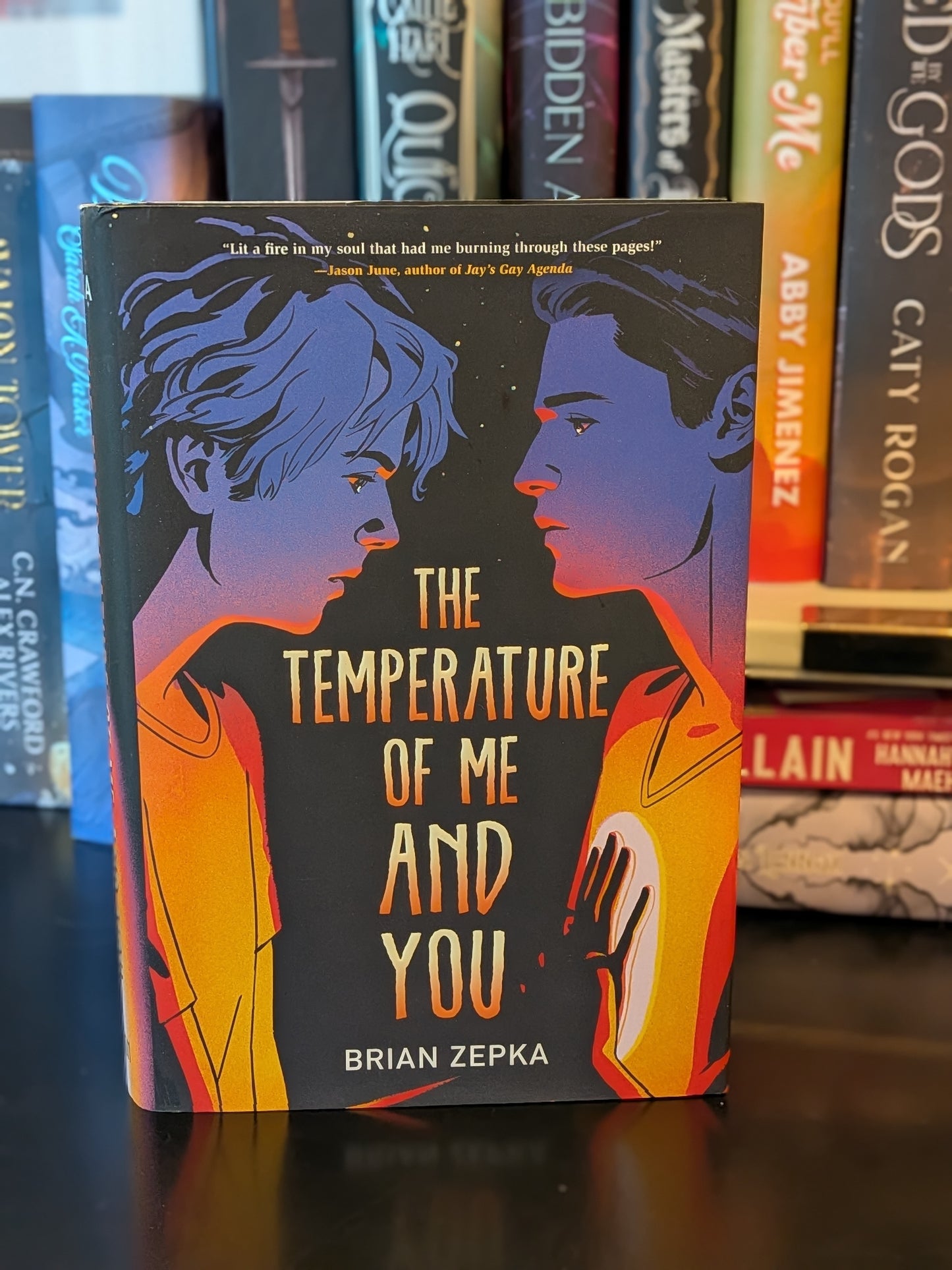 The Temperature of Me and You by Brian Zepak