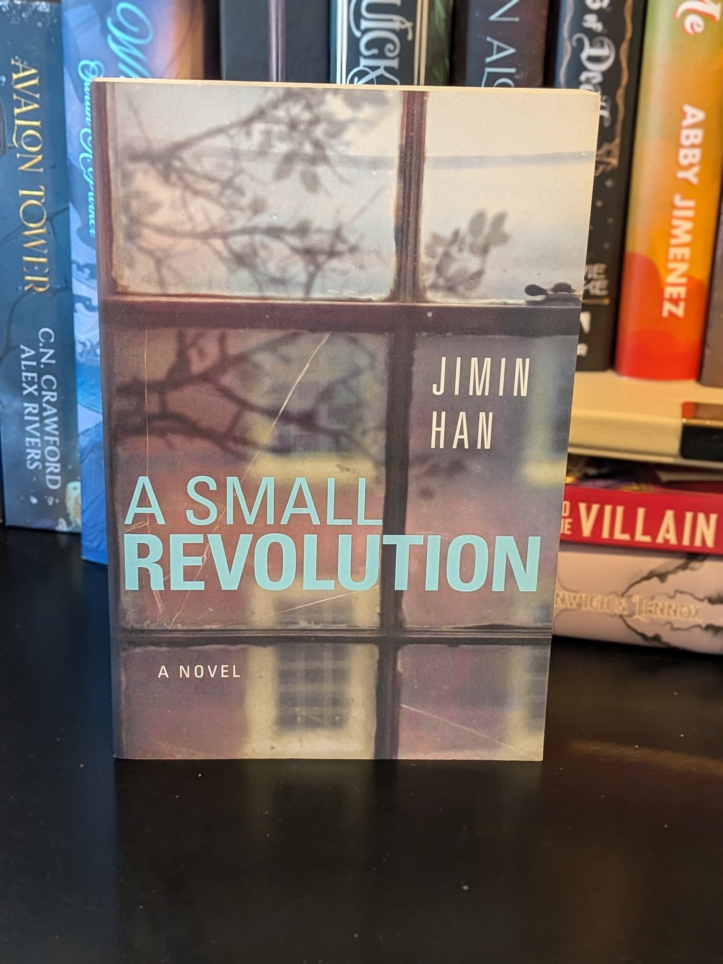 A Small Revolution by Jimin Han