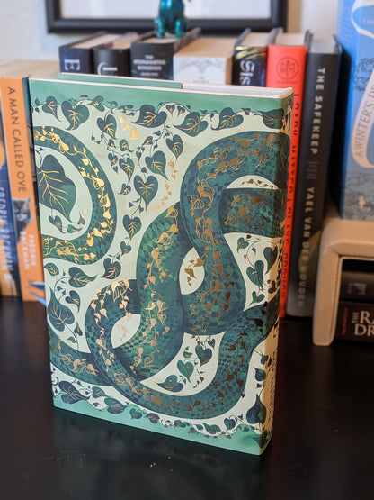 Riftborne by Parker Lennox and Bree Greenwich, Unplugged Book Box Edition