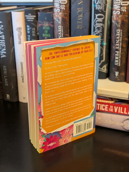 Not So Nice Guy by R.S Grey