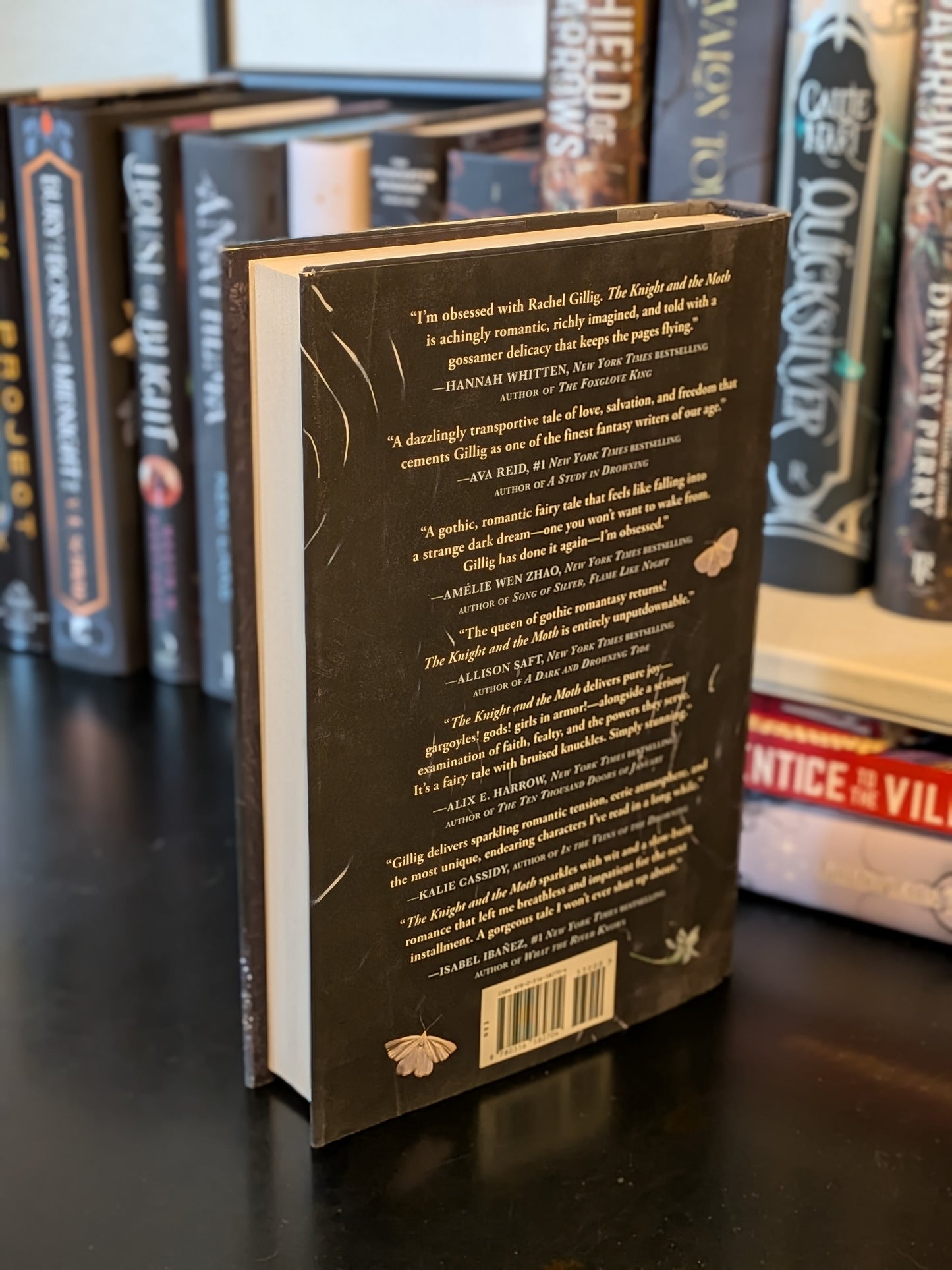 The Knight and the Moth by Rachel Gillig