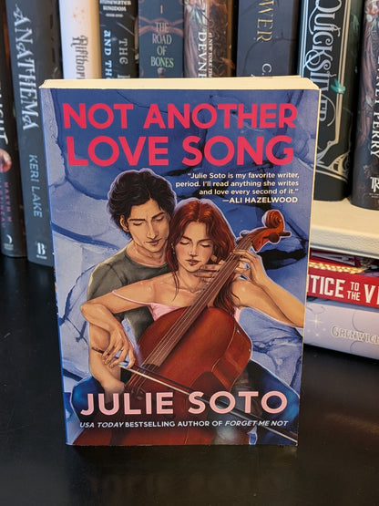 Not Another Love Song by Julie Soto