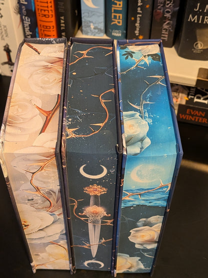 Fey Spy Academy Oop Deluxe, Avalon Tower, Vale of Dreams, Lady of the Lake by C.N. Crawford and Alex Rivers