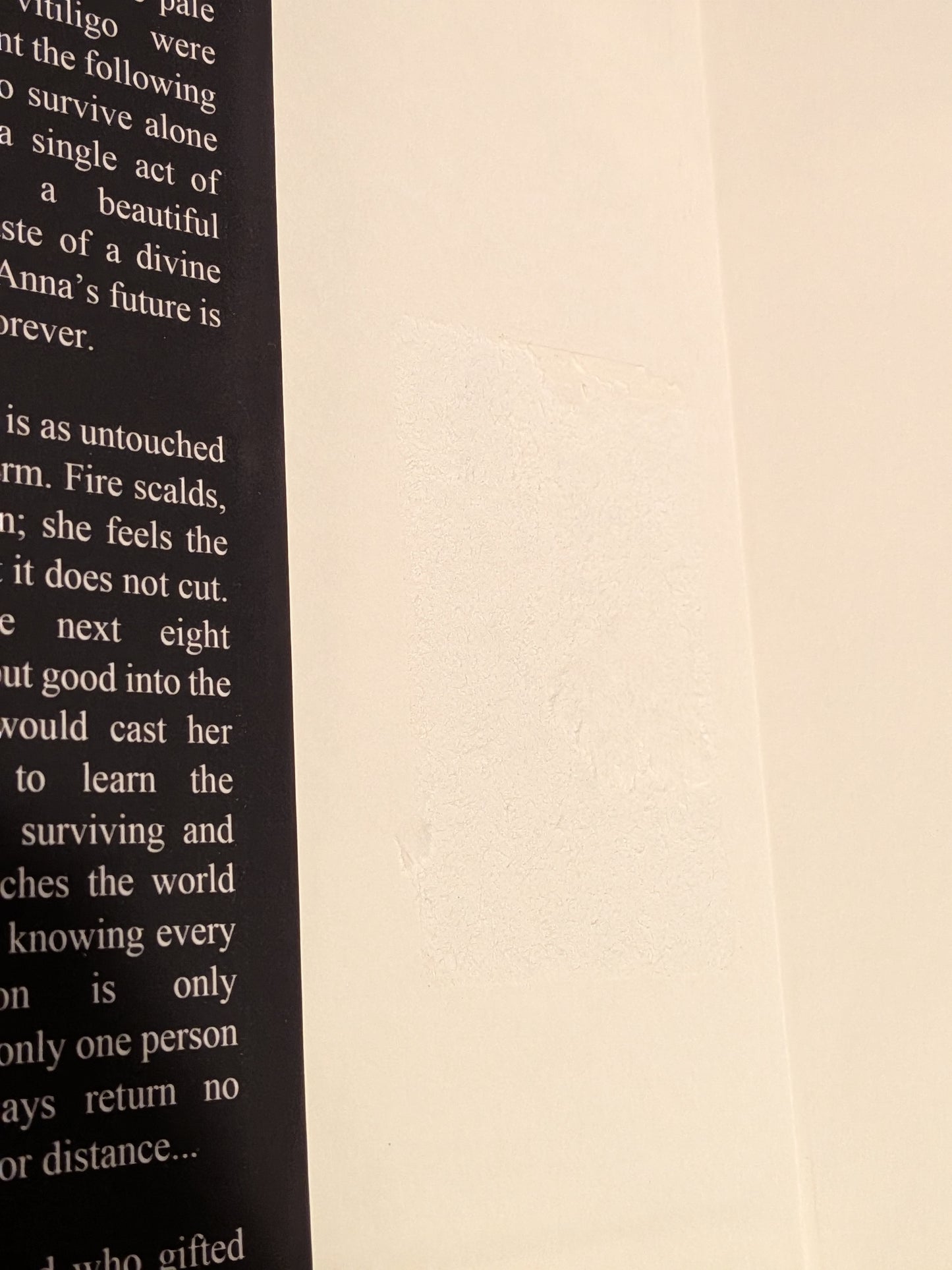 Peaches and Honey by R. Raeta OOP Hardcover