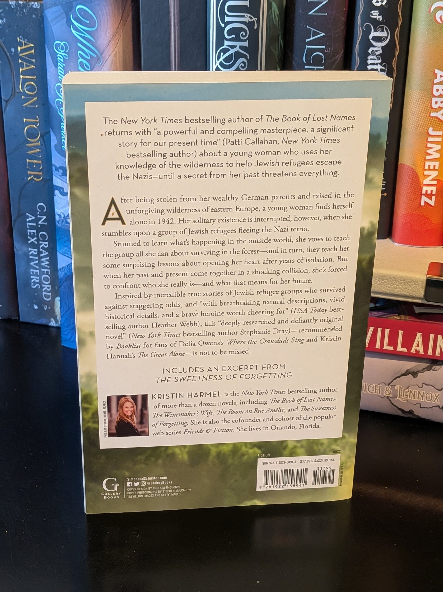 The Forest of Vanishing Stars by Kristin Harmel