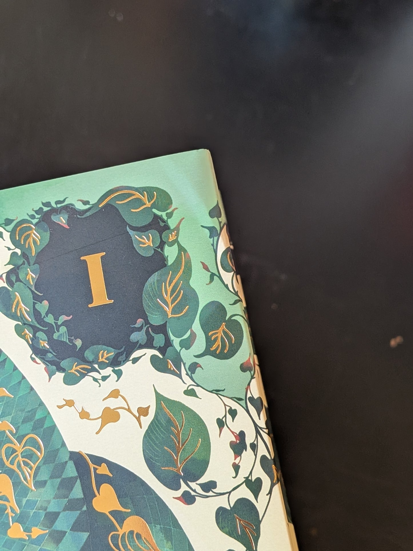 Riftborne by Parker Lennox and Bree Greenwich, Unplugged Book Box Edition